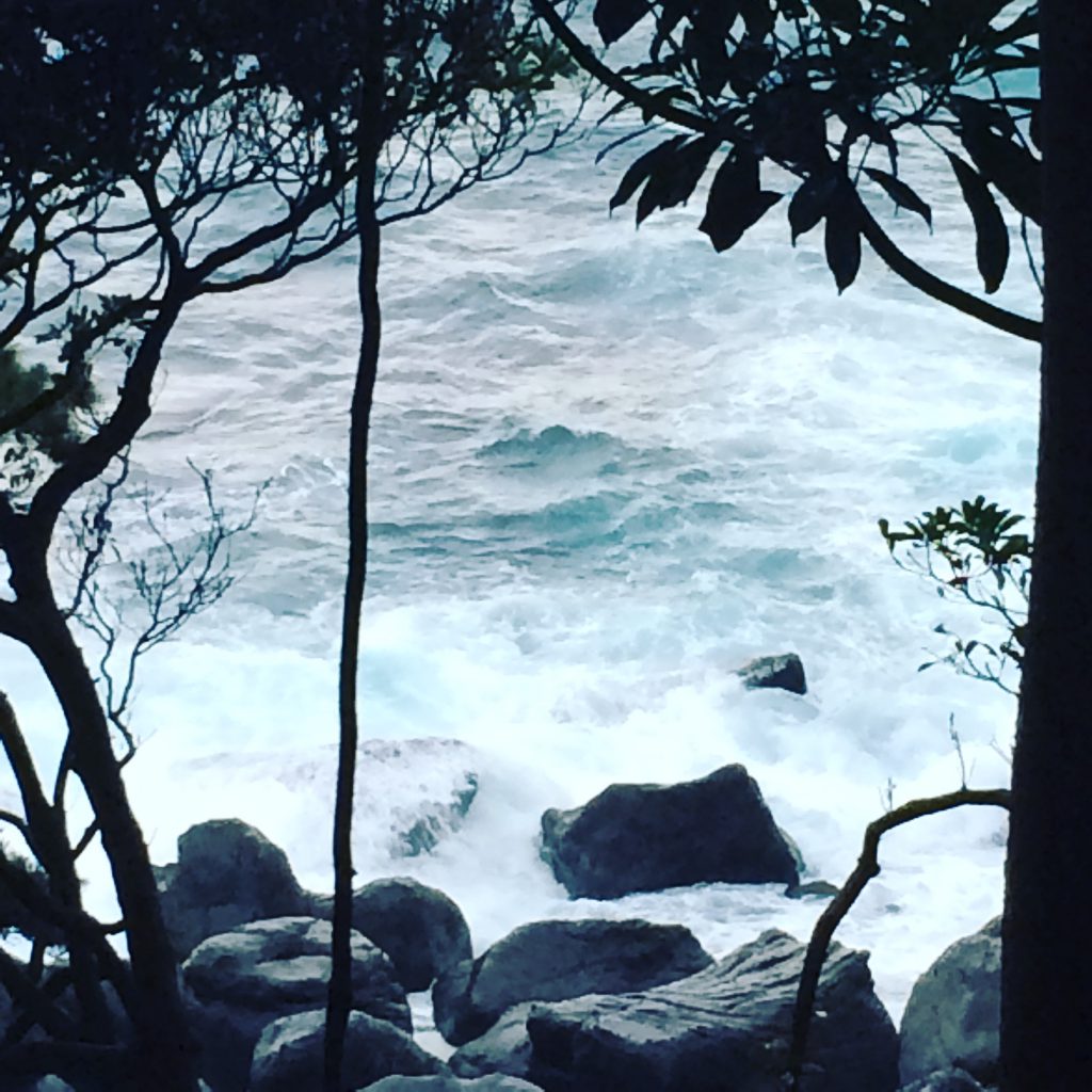 海