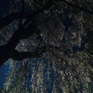 花冷え