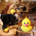 Thumbnail of related posts 199