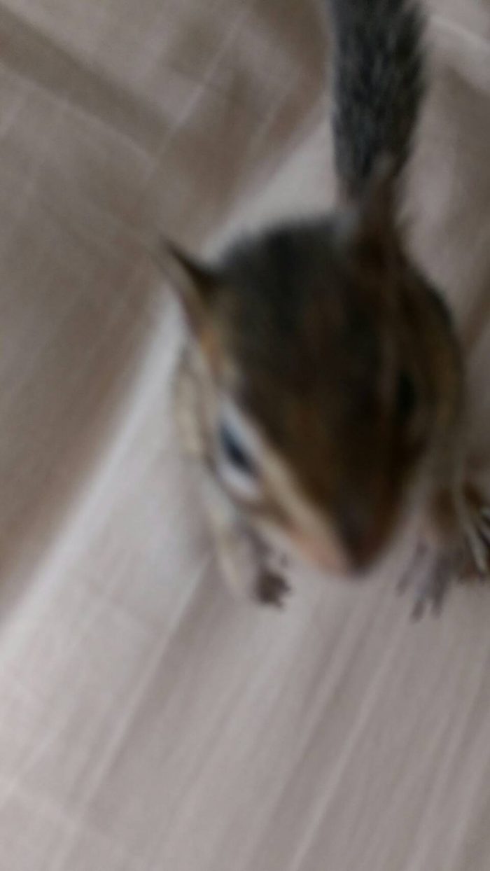腸スッキリ！
