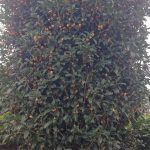 Thumbnail of related posts 014
