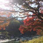 Thumbnail of related posts 105