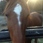 Thumbnail of related posts 145