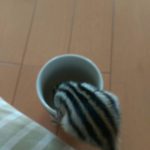 Thumbnail of related posts 018