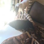Thumbnail of related posts 079