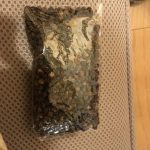 Thumbnail of related posts 073