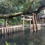Thumbnail of related posts 149