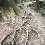 Thumbnail of related posts 200