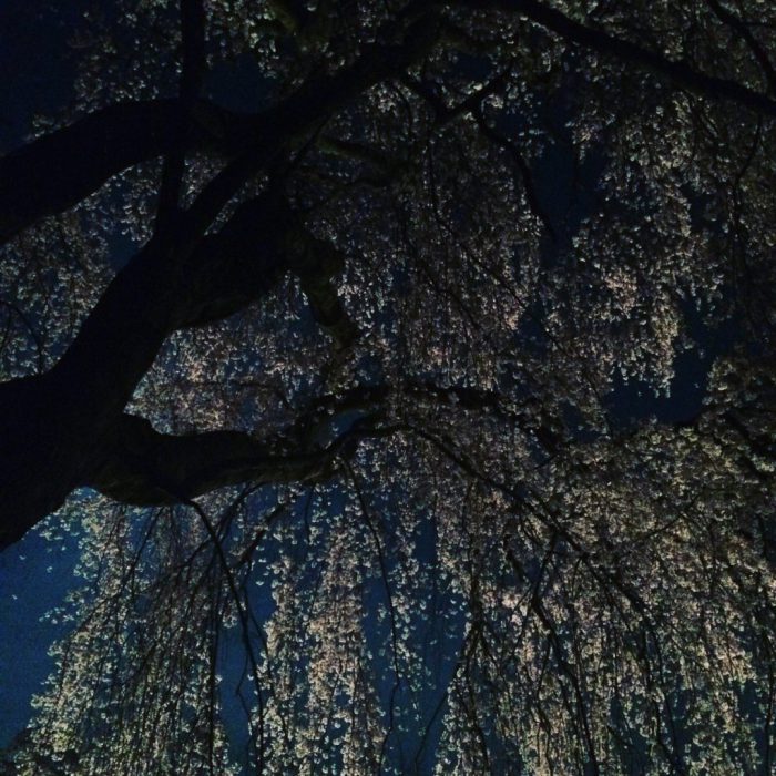 Thumbnail of post image 169