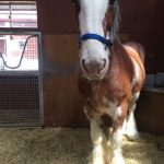 Thumbnail of related posts 116