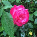 Thumbnail of related posts 098