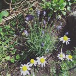 Thumbnail of related posts 067
